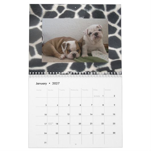 Engelse Bulldogs & Puppies Agenda! Kalender (Jan 2027)