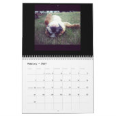 Engelse Bulldogs & Puppies Agenda! Kalender (Feb 2027)