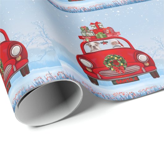 Engelse bulledog in auto met kerstman cadeaupapier (Rol Hoek)