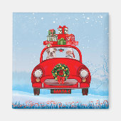 Engelse bulledog in auto met kerstman magneet (Voorkant)