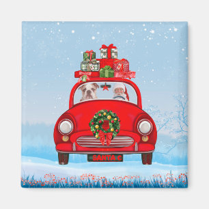 Engelse bulledog in auto met kerstman magneet