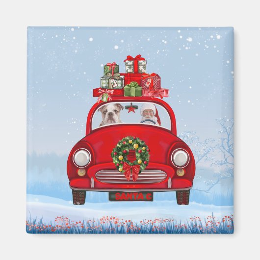 Engelse bulledog in auto met kerstman magneet (Voorkant)