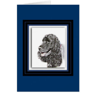 Engelse Cocker Spaniel