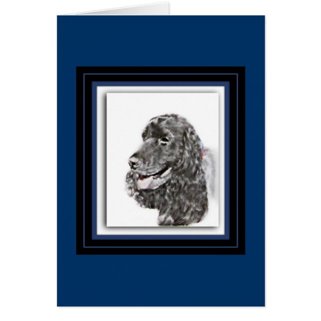 Engelse Cocker Spaniel (Voorkant)