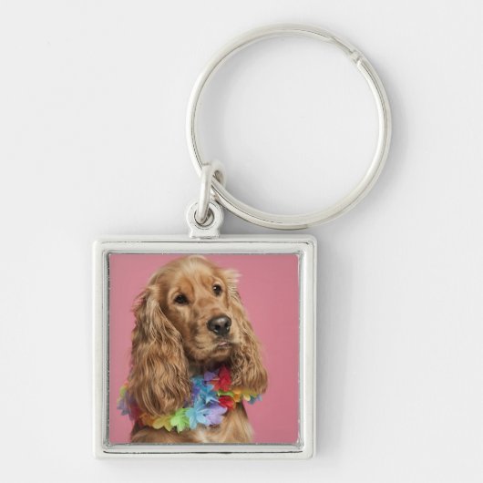 Engelse Cocker Spaniel (10 maanden oud) Sleutelhanger (Voorkant)