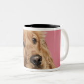 Engelse Cocker Spaniel (10 maanden oud) Tweekleurige Koffiemok (Voorkant rechts)
