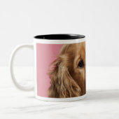 Engelse Cocker Spaniel (10 maanden oud) Tweekleurige Koffiemok (Links)