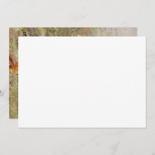 Engelse Cocker Spaniel Bedankkaart (Voorkant / Achterkant)