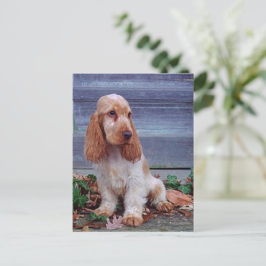 Engelse Cocker Spaniel Briefkaart (Staand voorkant)