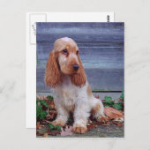 Engelse Cocker Spaniel Briefkaart (Voorkant / Achterkant)