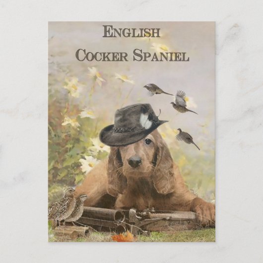 Engelse Cocker Spaniel Briefkaart (Voorkant)
