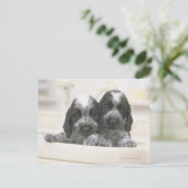 Engelse Cocker Spaniel Briefkaart (Staand voorkant)