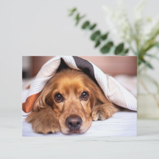 Engelse Cocker Spaniel Dog Bedankkaart (Staand voorkant)