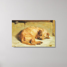 Engelse Cocker Spaniel Dog (door Briton Rivière) Canvas Afdruk