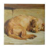 Engelse Cocker Spaniel Dog (door Briton Rivière) Tegeltje (Voorkant)