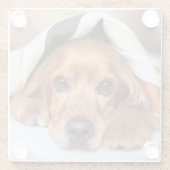 Engelse Cocker Spaniel Dog Glazen Onderzetter (Achterkant)