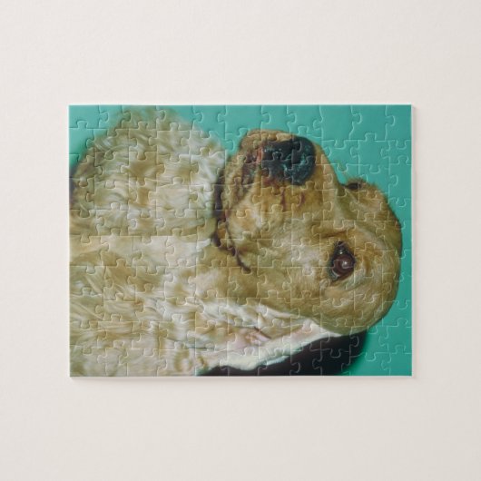 Engelse Cocker Spaniel Dog Puzzle Legpuzzel (Horizontaal)