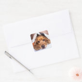 Engelse Cocker Spaniel Dog Vierkante Sticker (Envelop)