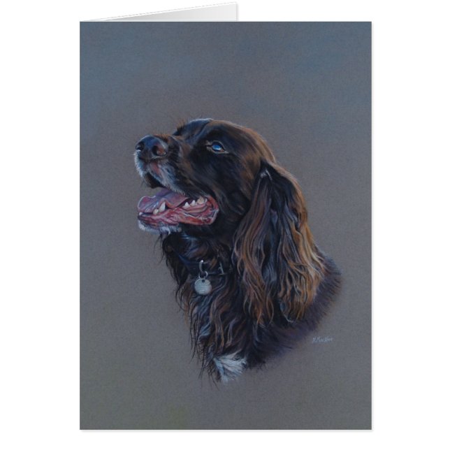 Engelse Cocker Spaniel hond. Mooie kunst, blanco k (Voorkant)