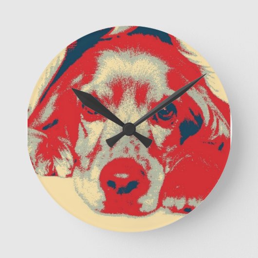 Engelse cocker spaniel, Hond, Puppy Ronde Klok (Voorkant)