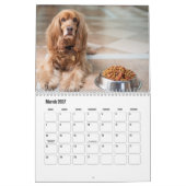 Engelse Cocker Spaniel Hondenkalender Kalender (Mar 2027)