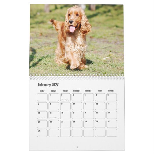 Engelse Cocker Spaniel Hondenkalender Kalender (Feb 2027)