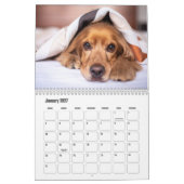 Engelse Cocker Spaniel Hondenkalender Kalender (Jan 2027)