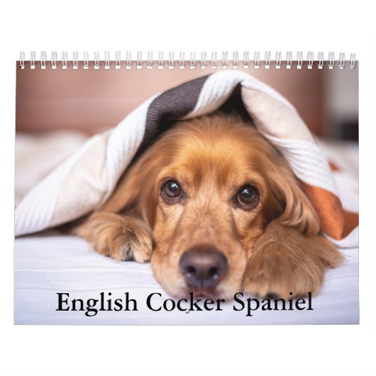 Engelse Cocker Spaniel Hondenkalender Kalender (Hoes)