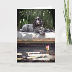 Engelse Cocker Spaniel Kaart