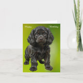Engelse Cocker Spaniel Kaart (Voorkant)