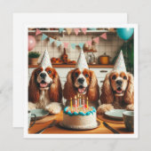 Engelse Cocker Spaniel kaart, Spaniel verjaardag Kaart (Voorkant / Achterkant)