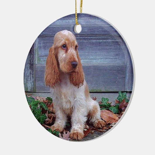 Engelse Cocker Spaniel Keramisch Ornament (Links)
