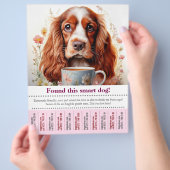 Engelse Cocker Spaniel kwijt, flyer gevonden (Hand)