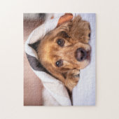 Engelse Cocker Spaniel Legpuzzel (Verticaal)