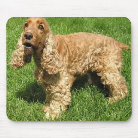 Engelse Cocker Spaniel Mousepad Muismat (Voorkant)