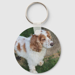 Engelse cocker spaniel oranje en wit volledig sleutelhanger