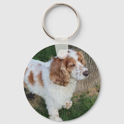 Engelse cocker spaniel oranje en wit volledig sleutelhanger (Voorkant)