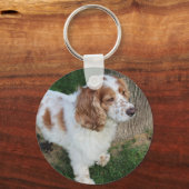 Engelse cocker spaniel oranje en wit volledig sleutelhanger (Voorkant)