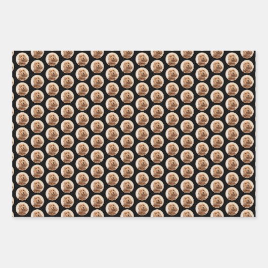 Engelse Cocker Spaniel Paining - Originele Dog Art Inpakpapier Vel (Voorkant 3)