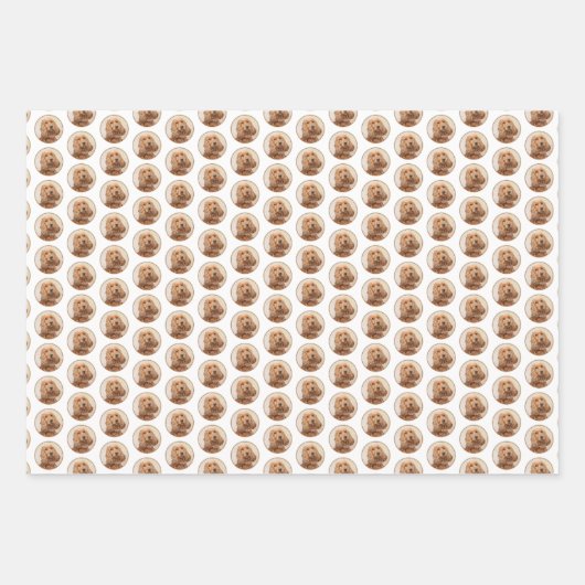 Engelse Cocker Spaniel Paining - Originele Dog Art Inpakpapier Vel (Voorkant 2)