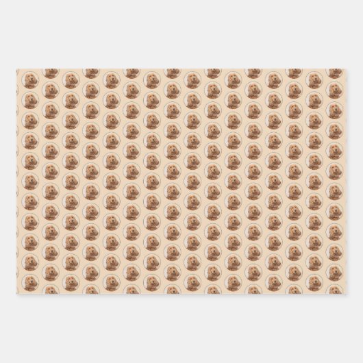 Engelse Cocker Spaniel Paining - Originele Dog Art Inpakpapier Vel (Voorkant)