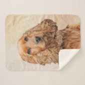 Engelse Cocker Spaniel Paining - Originele Dog Art Sherpa Deken (Voorkant (horizontaal))