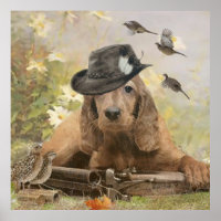 Engelse Cocker Spaniel