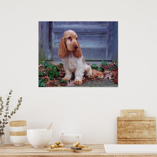 Engelse Cocker Spaniel Print (Keuken)
