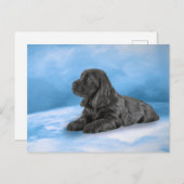 Engelse Cocker Spaniel puppy Briefkaart (Voorkant / Achterkant)