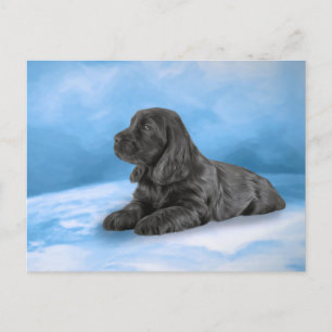 Engelse Cocker Spaniel puppy Uitnodiging Briefkaart