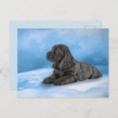 Engelse Cocker Spaniel puppy Uitnodiging Briefkaart (Voorkant / Achterkant)