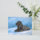 Engelse Cocker Spaniel puppy Uitnodiging Briefkaart (Staand voorkant)
