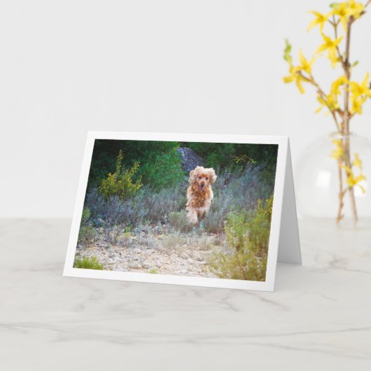 Engelse Cocker Spaniel Rent in Landschap Kaart (Gele Bloem)