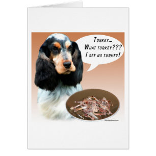 Engelse Cocker Spaniel Turkije